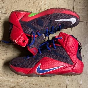 Lebron James Nike shoes